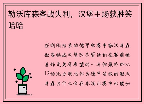 勒沃库森客战失利，汉堡主场获胜笑哈哈